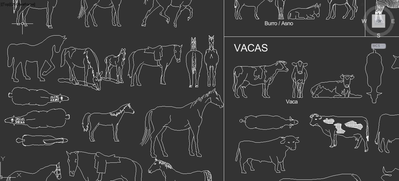 Animals for Architecture